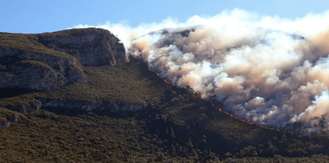 VIDEO: Continúa el incendio en Coahuila y Nuevo León.