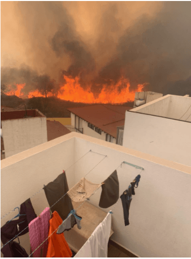 Impactantes imágenes del incendio en la zona forestal del Ajusco