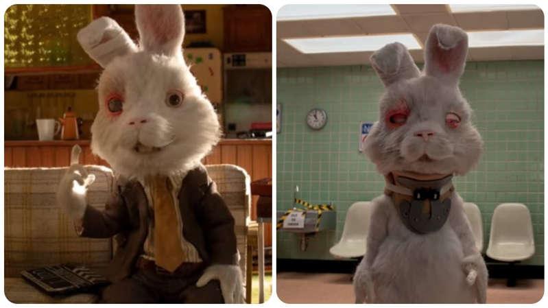 VIDEO: “Ralph” el conejo que nos muestra la crueldad de las empresas de Cosméticos.