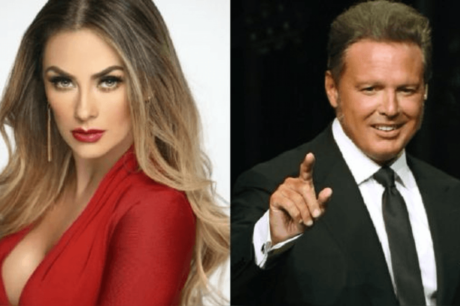 Aracely Arámbula emprenderá accione legales contra Luis Miguel en México y Estados Unidos