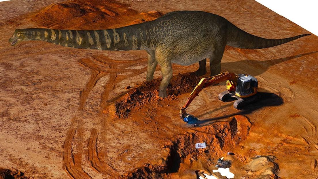 Descubren en Australia el dinosaurio más grande del mundo