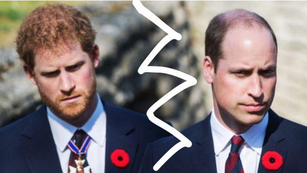 “William echó a Harry” del  Palacio de Kensington informa historiador