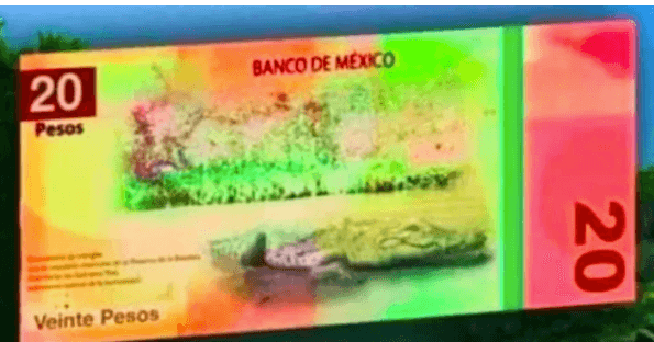 Se filtra el nuevo diseño de los billetes de 50 y 20 pesos