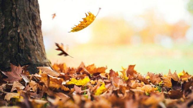 ¡El otoño está aquí!