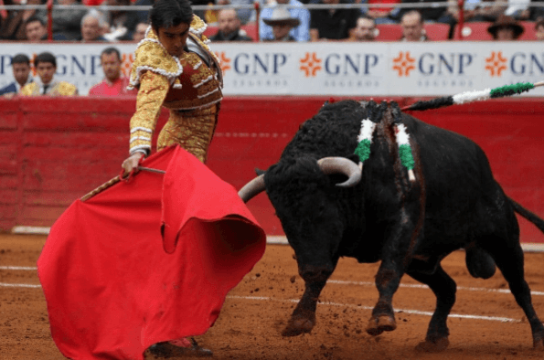 Empresarios y trabajadores detienen iniciativa de ley para prohibir las corridas de toros
