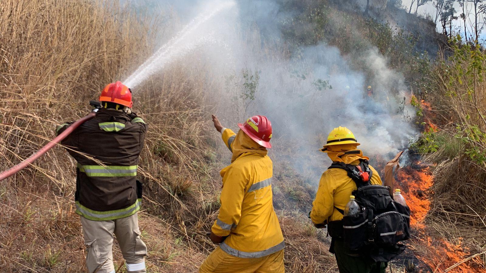 24 mil hectáreas afectadas por los incendios forestales en Guerrero