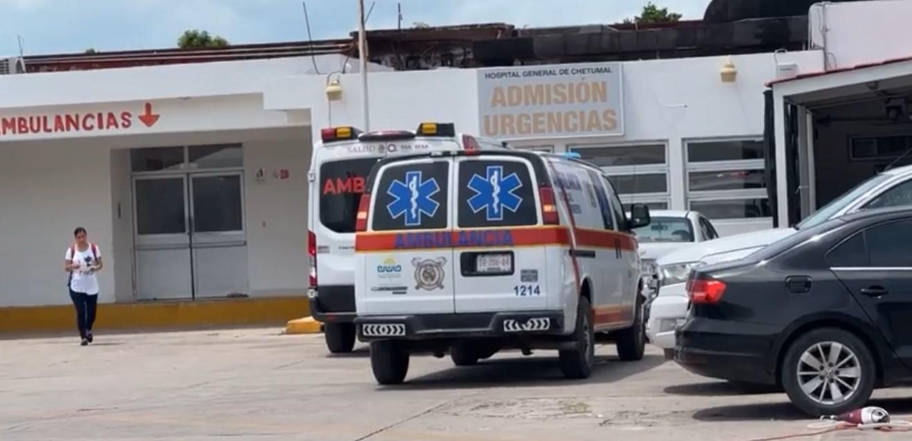 Abejas atacan a trabajadores del tren maya en Chetumal