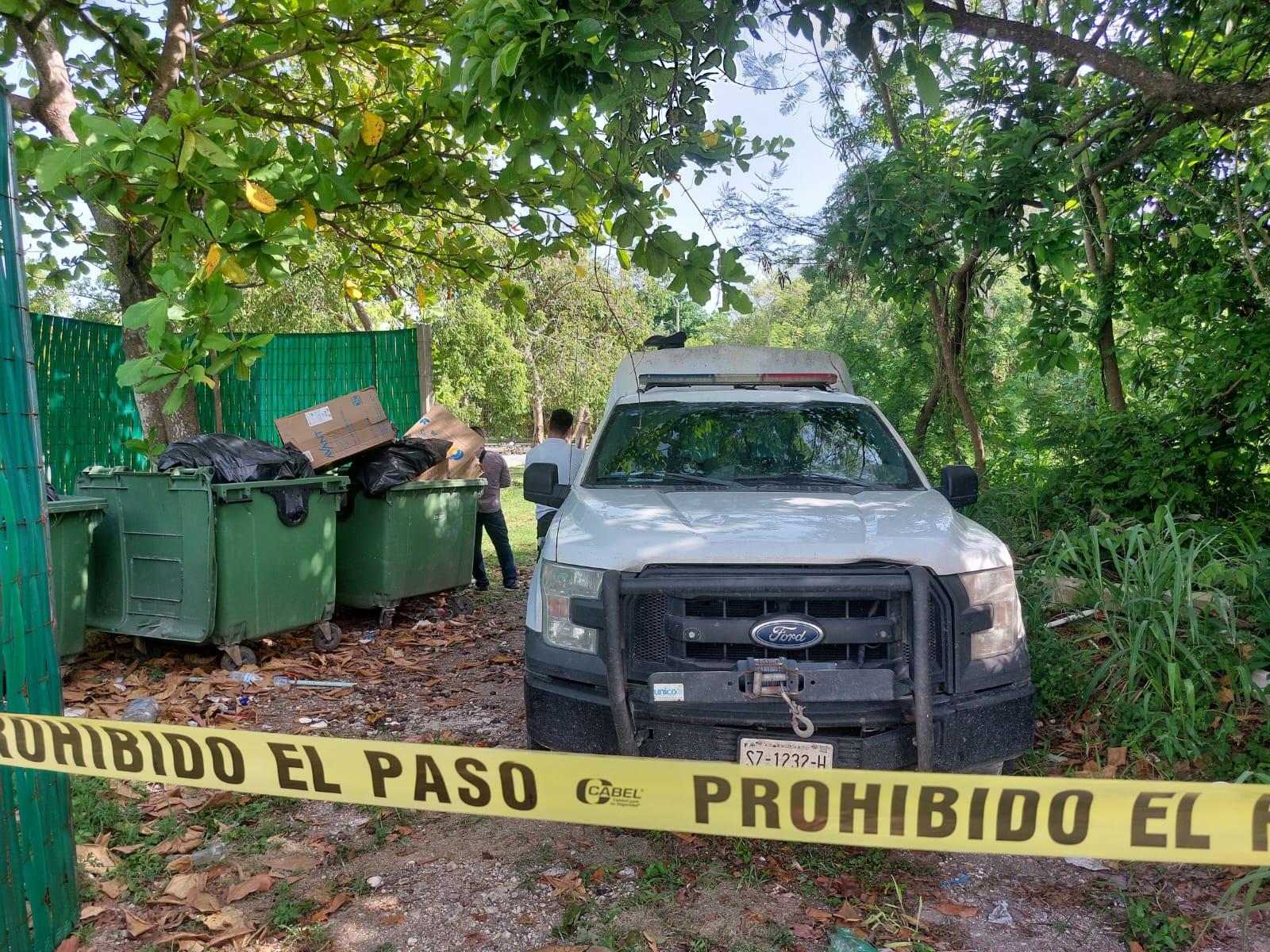 Abejas atacan a un hombre en Chetumal y le quitan la vida
