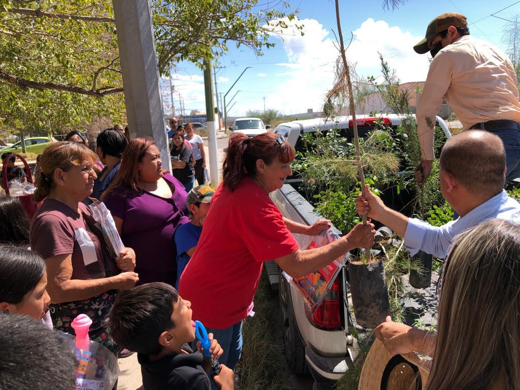 Es constante la reforestación en calles y colonias del suroriente de Ciudad Juárez