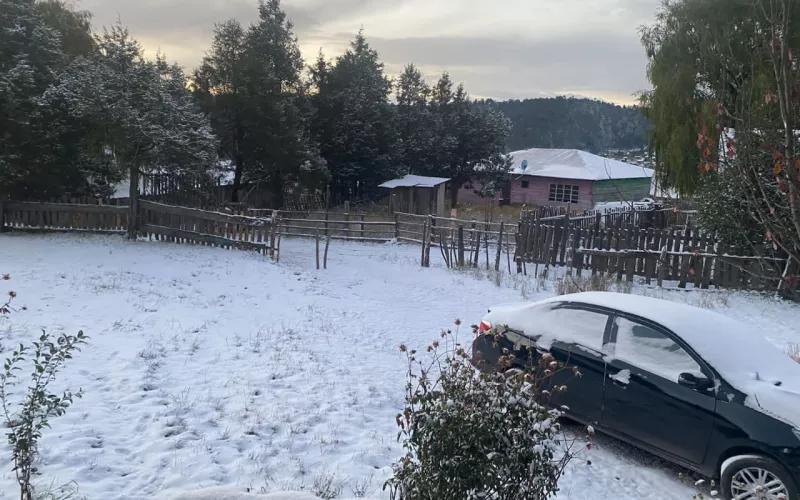 Tormenta Invernal deja primeras nevadas en Chihuahua