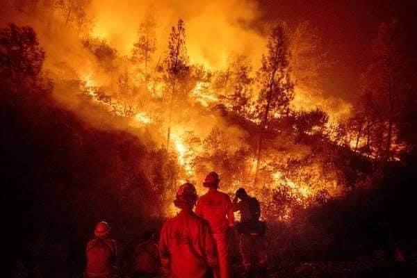 Continúan los incendios en la zona de las montañas en Veracruz