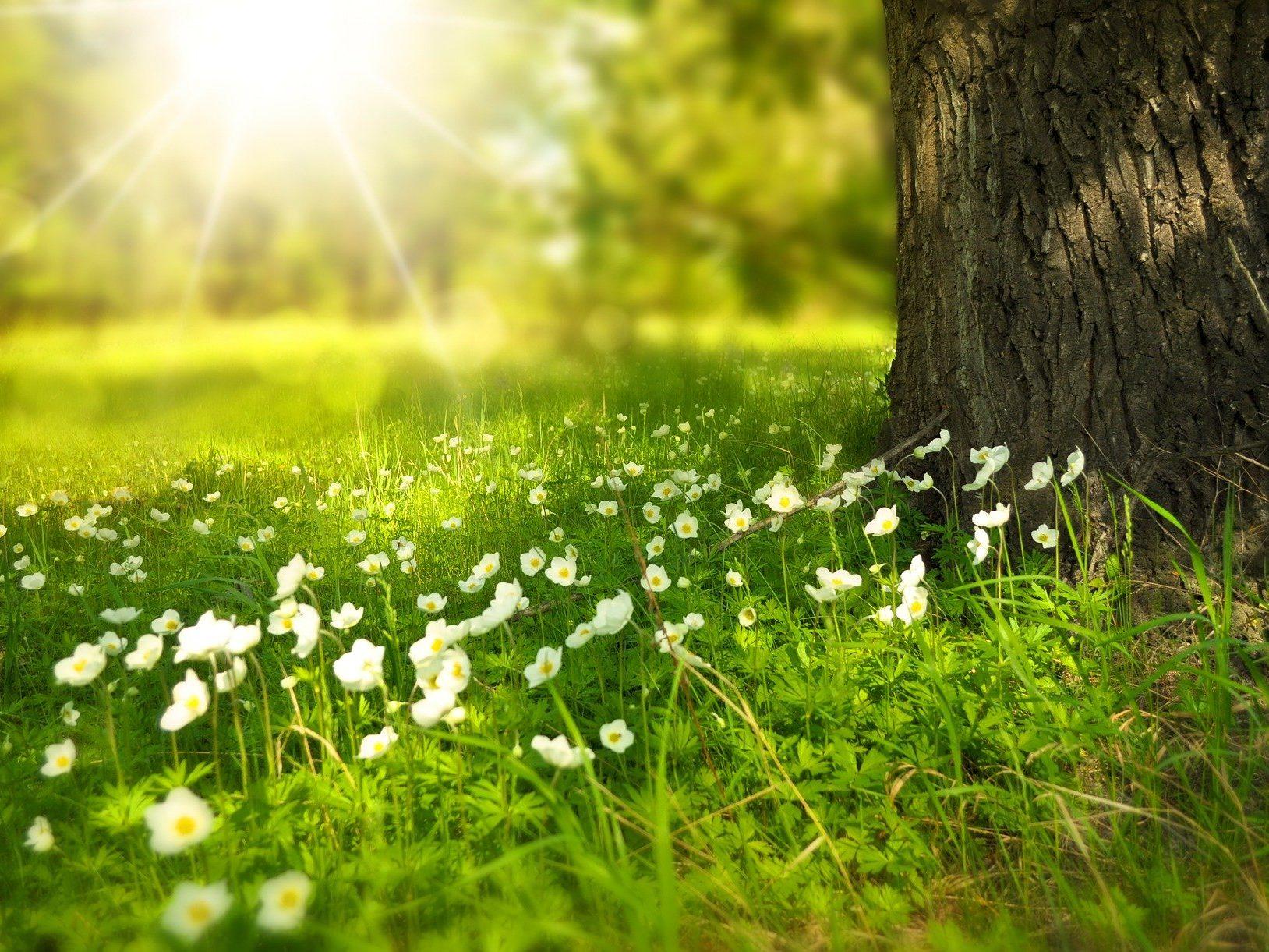 ¡La primavera ya está aquí! 