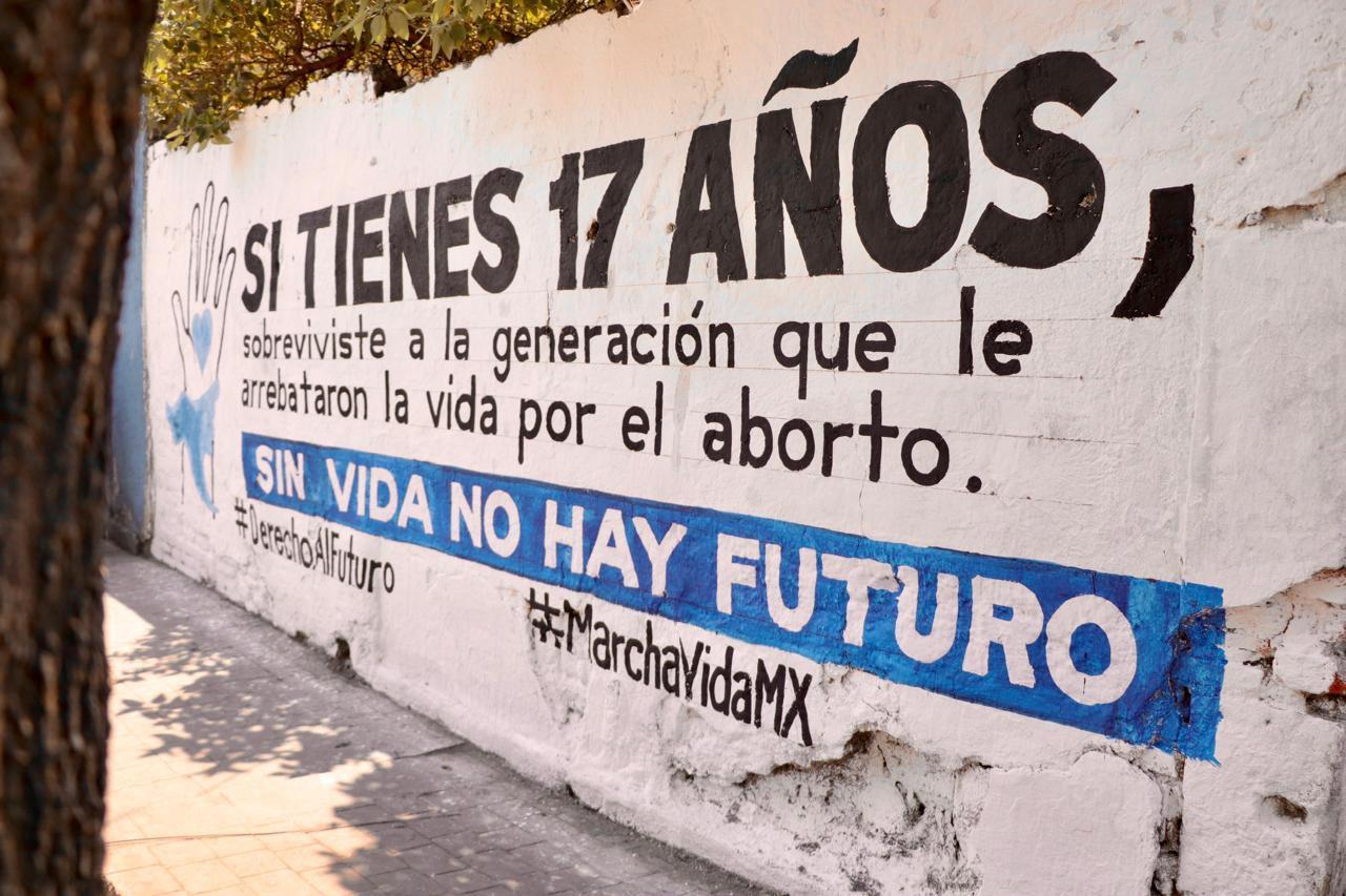Convocan a Marcha por la Vida 
