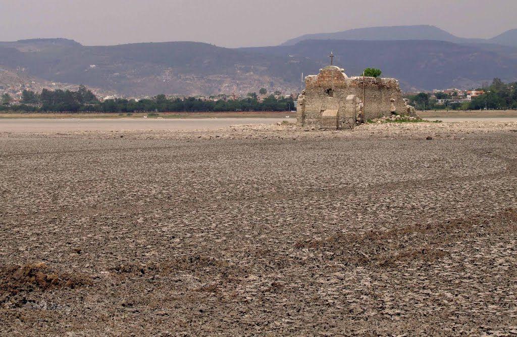 Ya no hay peces en la presa Palote de Guanajuato