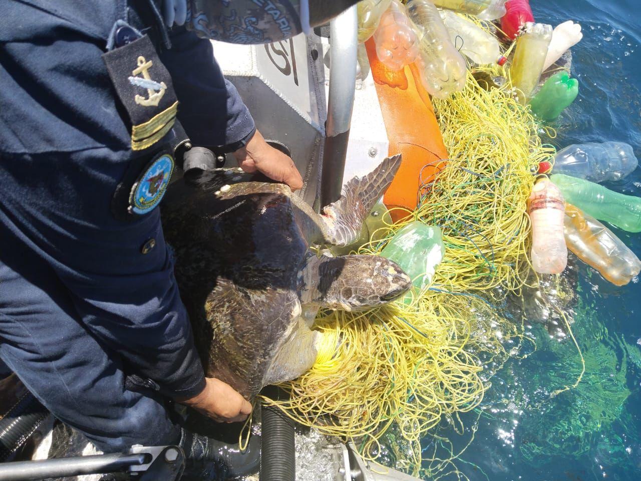 Actúa MARINA contra pescadores furtivos en San Blas