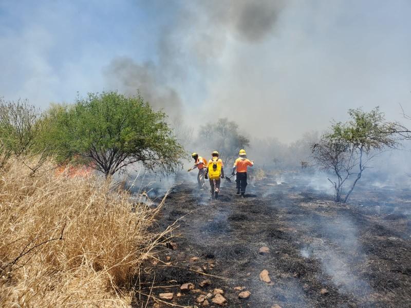 Espera Protección Civil sofocar en 2 días el incendio forestal de Yécora Sonora