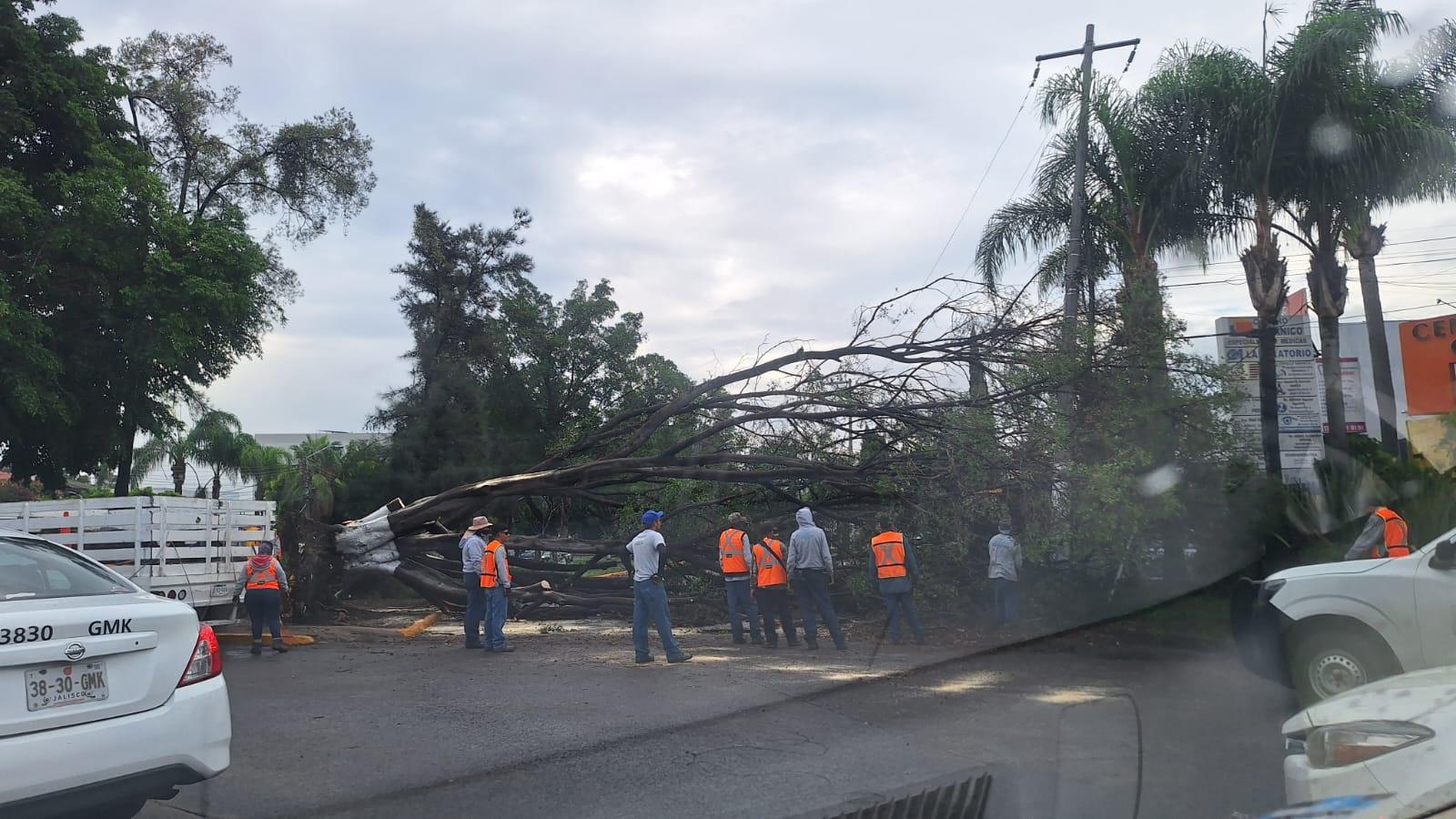 Azota la lluvia a la zona metropolitana de Guadalajara