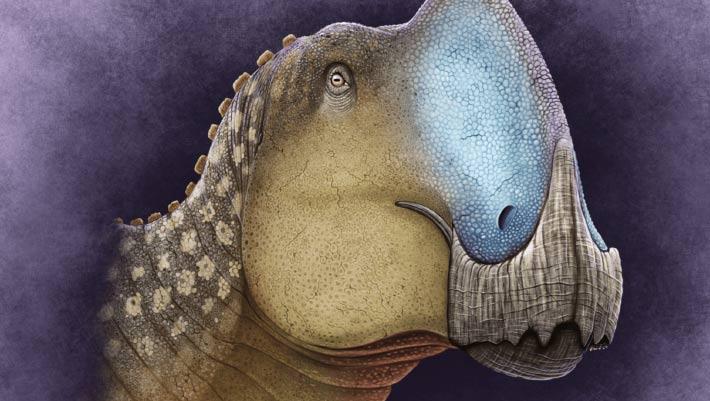 Se descubrió un nuevo dinosaurio endémico en Coahuila