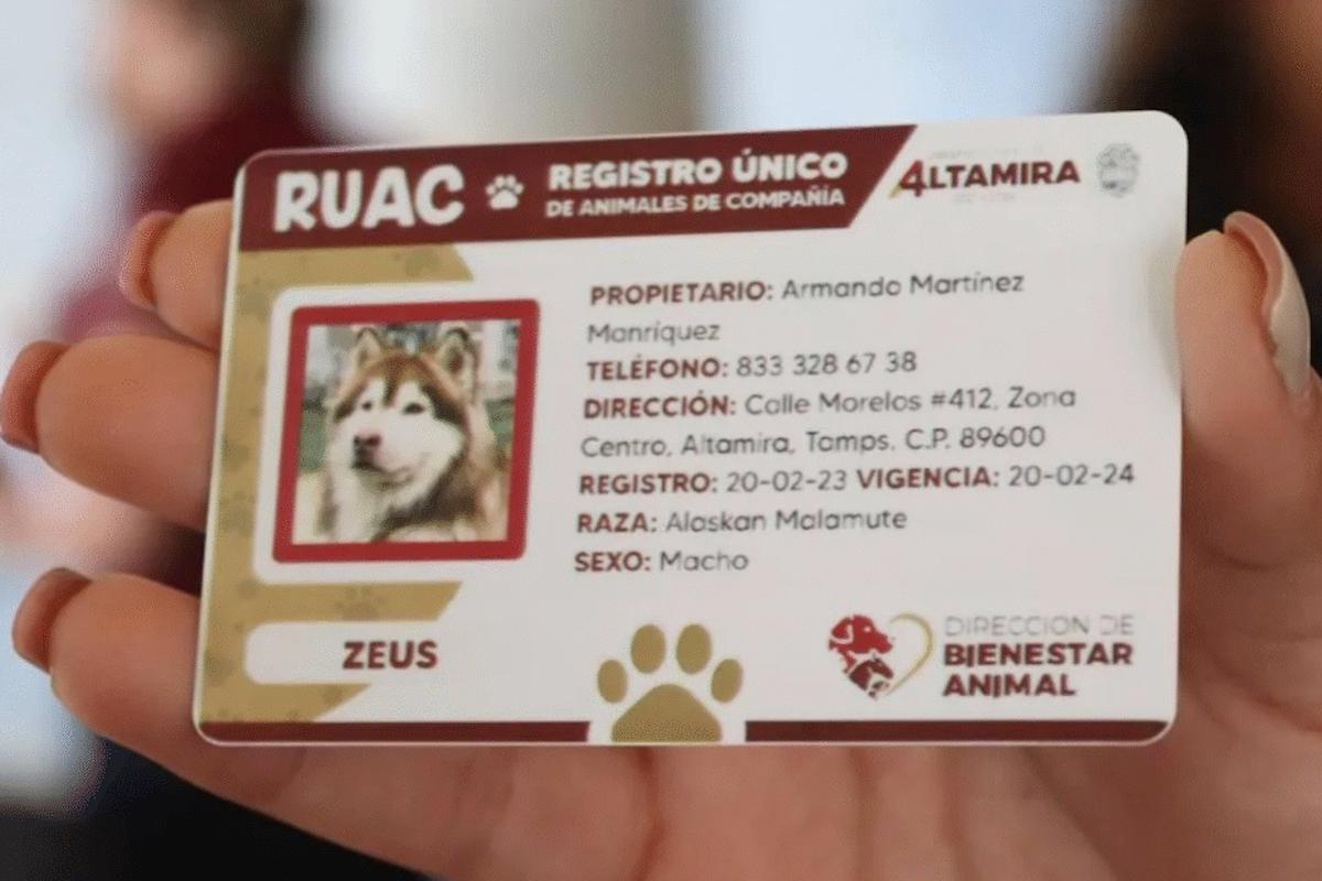 Registro único para mascotas es obligatorio