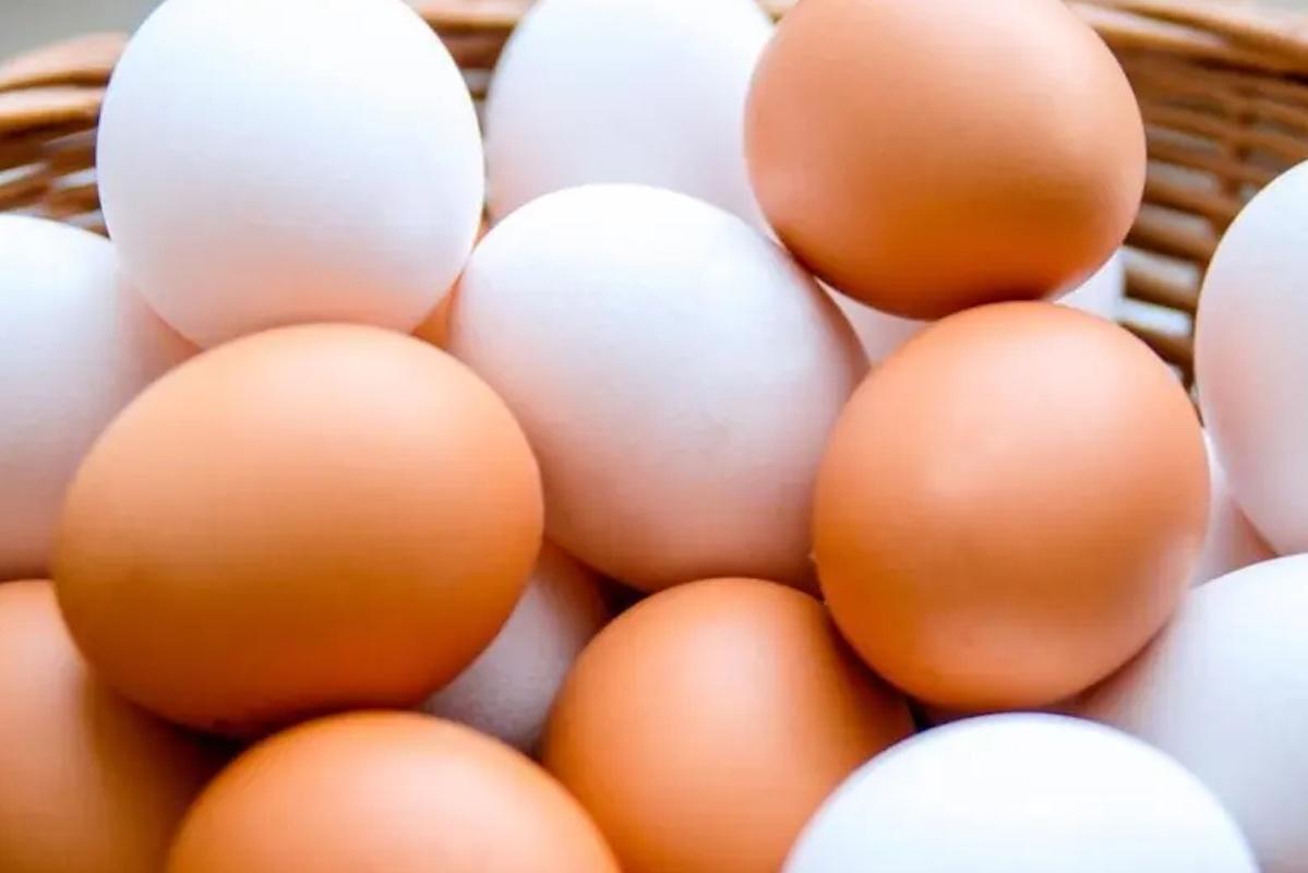 ¡Por las nubes! El huevo se vende hasta 100 pesos por kilo