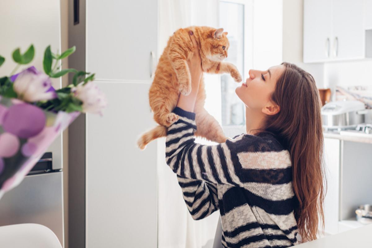 Los beneficios de tener un gato en tu vida: salud, compañía y bienestar emocional