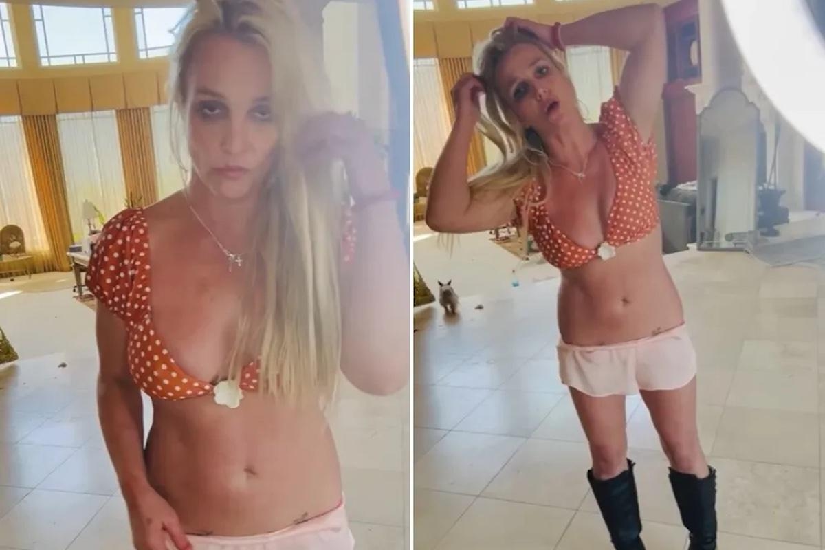 Amigos y familia de Britney se dicen preocupados por la artista 
