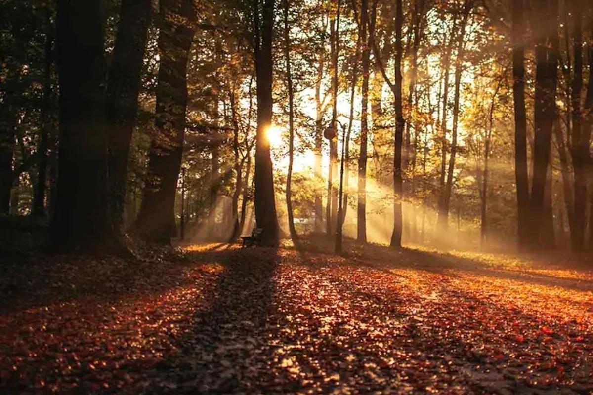 El equinoccio de otoño llega a México este 22 de septiembre