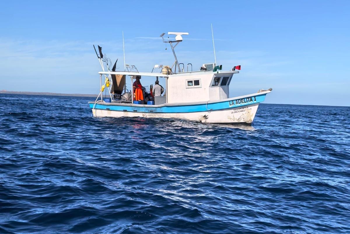 Retiene CONAPESCA 130kg de tiburón dentro del Área Natural Protegida Islas Marías