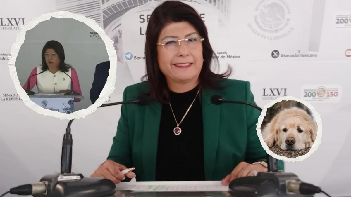 Senadora de Morena ordenó al sacrificio de más de 10 mil animales en Tecámac
