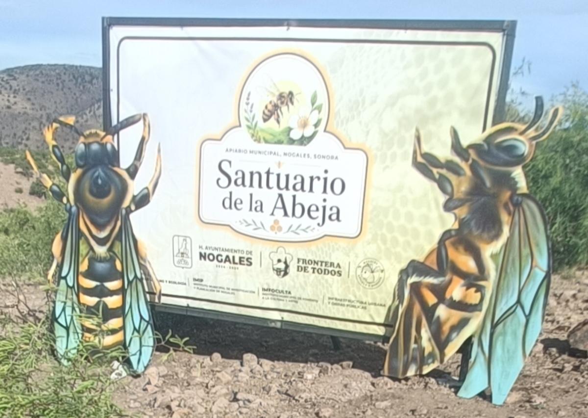 Inaugura Nogales el apiario municipal “Santuario de la Abeja”