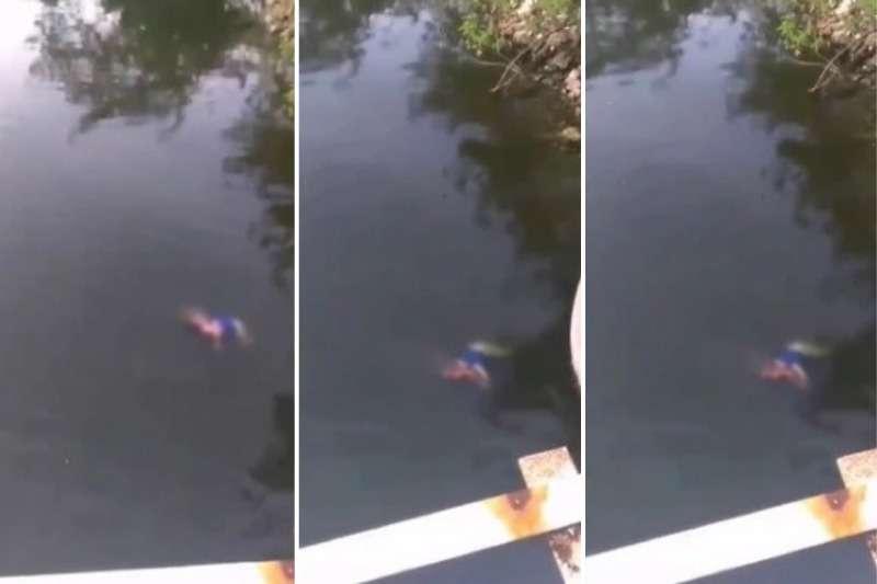 IMPACTANTE: Mujer es devorada por un cocodrilo