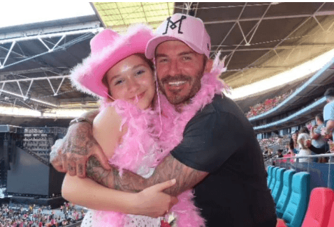 David Beckham y su hija disfrutan del concierto de Harry Styles