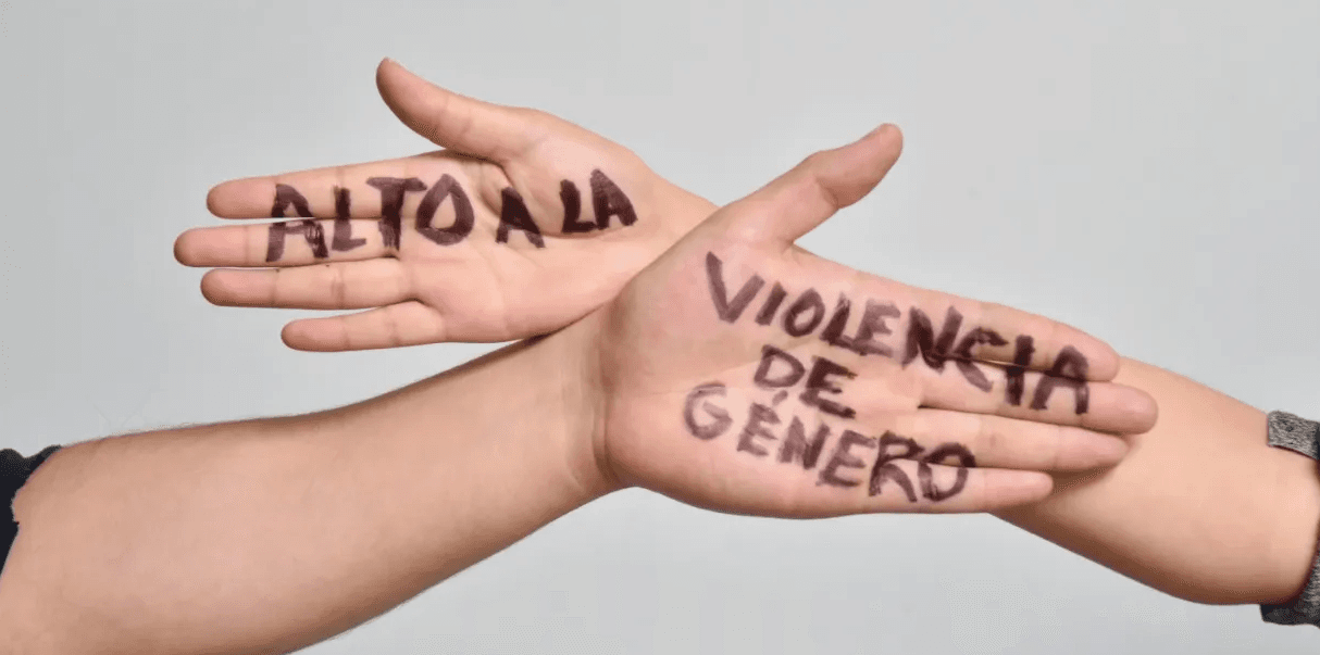 Prioridad legislar contra la violencia de género: Rosana Díaz