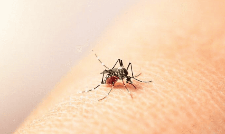 Incremento de Dengue es general en México