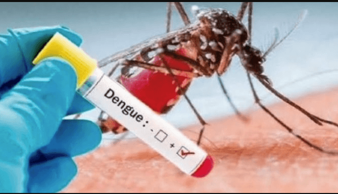 El dengue a la alza en Quintana Roo