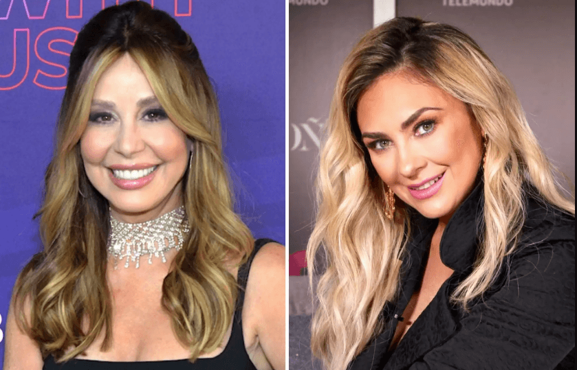 Myrka Dellanos defiende a Luis Miguel ante dichos de Aracely Arámbula