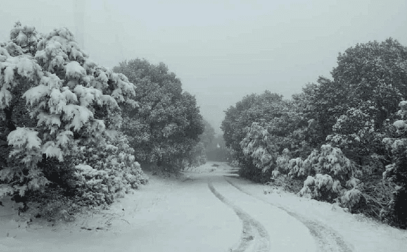 Viene un invierno muy crudo: Conagua