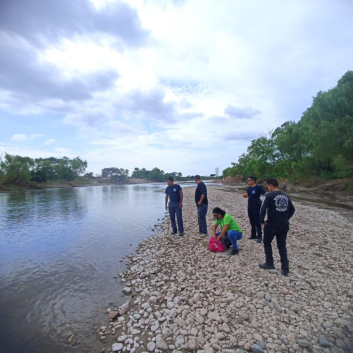 Capturan cocodrilo que tuviera interacción negativa con personas en Bahía de Banderas