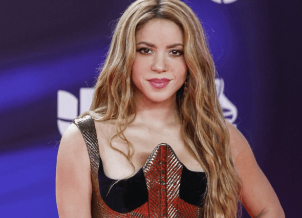 Detuvieron al acosador de Shakira que aseguraba ser esposo de la cantante