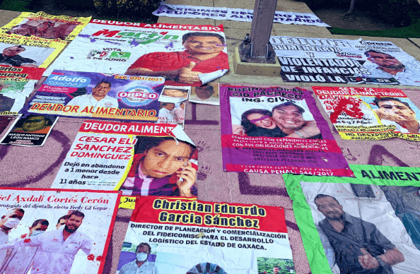 Ya arrancó el Registro Nacional de Deudores Alimentarios