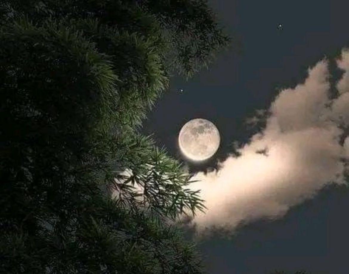 ¡Hoy es Luna llena en Tauro!