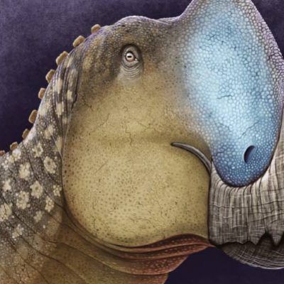 Se descubrió un nuevo dinosaurio endémico en Coahuila