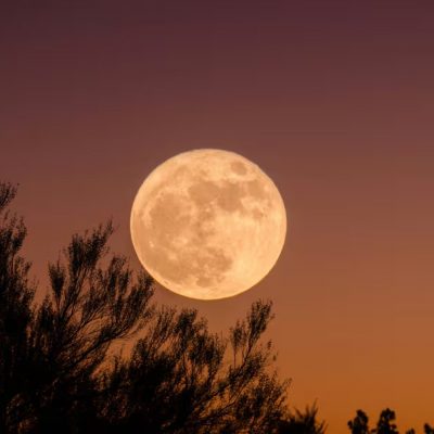 Mañana es Luna llena en Aries