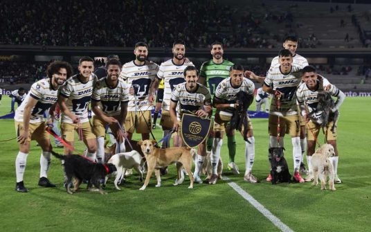 Pumas lanza campaña de adopción de perritos