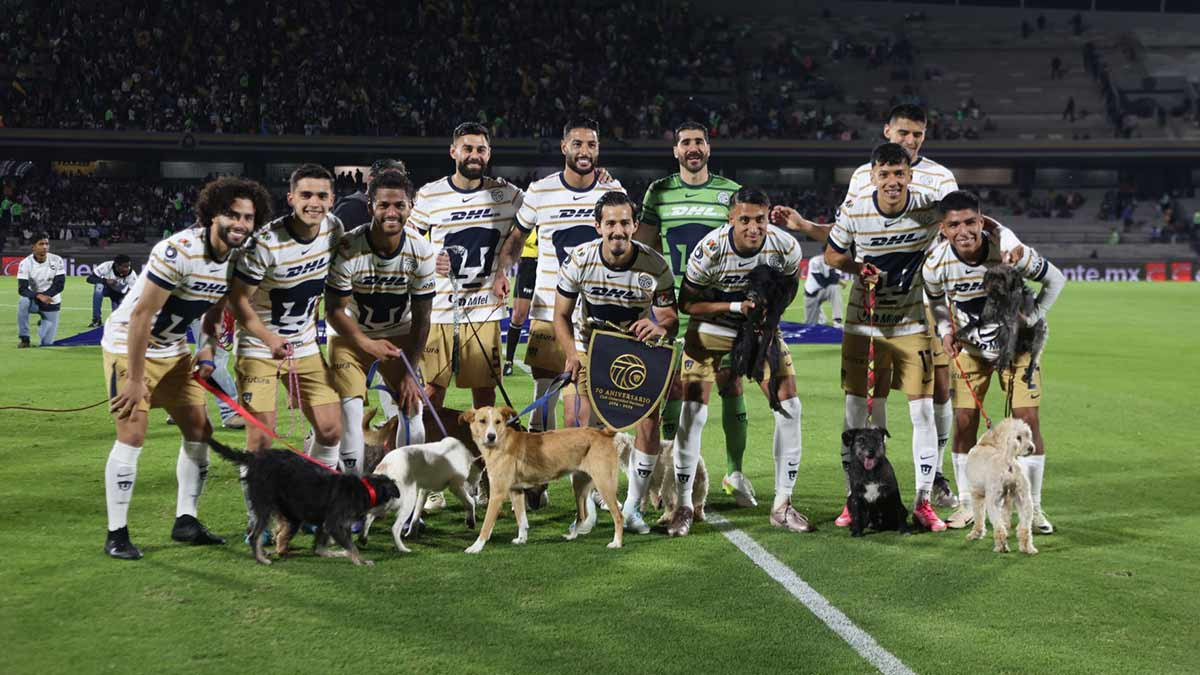 Pumas lanza campaña de adopción de perritos