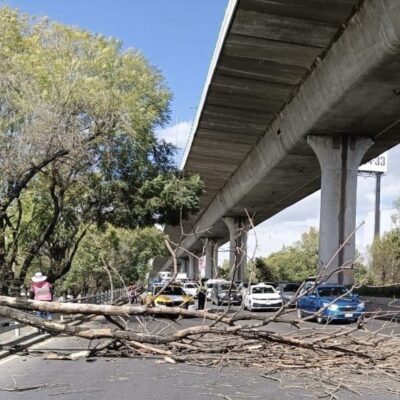 Se activa alerta de vientos en CDMX y Edomex