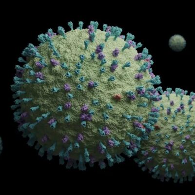 ¿Es peligroso el Metapneumovirus para los mexicanos?